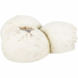Cueva para reptiles Trixie Blanco Cueva para reptiles Trixie Blanco