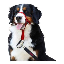 Bozal Halti Headcollar Rojo Talla 1 Bozal Halti Headcollar Rojo Talla 1