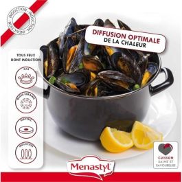 THEKITCHENETTE Mejillón 3645567 2.7L Todas las fuentes de calor, incluida la inducción THEKITCHENETTE Mejillón 3645567 2.7L Todas las fuentes de calor, incluida la inducción