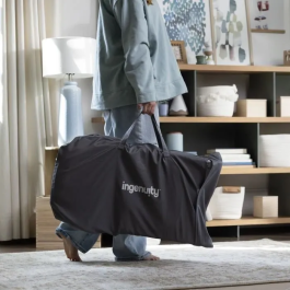 Ingenuity ING74451168541 Asiento Rock-to-Bounce - Música - Vibraciones - Arco de Actividad Extraíble - Peluche Cebra