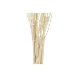 DKD Home Decor Ramo de Flor Seca Pristimera Crema, 12 Unidades, 15x65x15 cm. Pack de Bouquets Decorativos para Centro de Mesa o Jarrones de Hogar. DKD Home Decor Ramo de Flor Seca Pristimera Crema, 12 Unidades, 15x65x15 cm. Pack de Bouquets Decorativos para Centro de Mesa o Jarrones de Hogar.