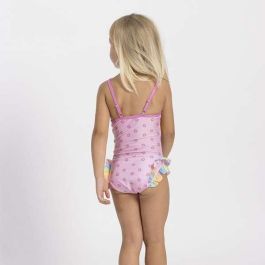 Paw Patrol Bañador Rosa Claro para Niña Talla 5 Años - Traje de Baño Infantil con Diseño de Personajes Paw Patrol Bañador Rosa Claro para Niña Talla 5 Años - Traje de Baño Infantil con Diseño de Personajes