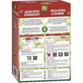 KB KREGFAC100 Semillas de césped - Super Replenishing 2 kg - Para zonas de sombra - Germinación rápida 7 días - Para 100m² KB KREGFAC100 Semillas de césped - Super Replenishing 2 kg - Para zonas de sombra - Germinación rápida 7 días - Para 100m²