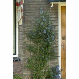 Nature Malla de Alambre Rectangular de Acero Galvanizado para Pérgola 42,5xH145cm Gris