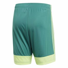 Pantalones Cortos Deportivos para Hombre Adidas TASTIGO19 SHO Verde