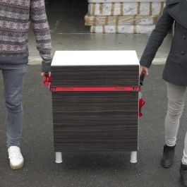 Master Lock Juego de 2 Correas Móviles para Transporte 80 kg Resistencia, 2.5m y 5.5m x 25mm con Asas Acolchadas