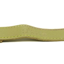 Gloria Correa Oasis 100 cm X 21 mm Verde para Perro de Cuero