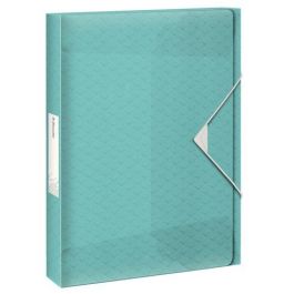 Esselte Carpeta de Proyectos Colour´Ice, A4, Polipropileno Azul Translúcido Precio: 6.69000046. SKU: B1DEQ5AVYP
