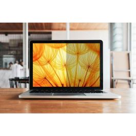 3M 17.3", 16:9, 383 x 215 mm 3M 17.3", 16:9, 383 x 215 mm