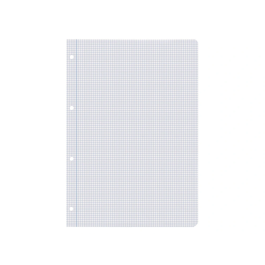 Liderpapel Recambio A4 100 Hojas 60gr Cuadro 3mm Con Margen 4 Taladros