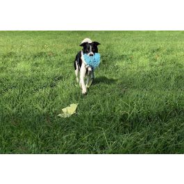 Coachi Tuggi Hide Juguete Adiestramiento Interactivo para Perros y Cachorros con Bolsillo, Asa Neopreno, Ayuda a No Morder - Azul-Lima-Azul Claro