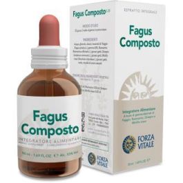 FORZA VITALE Fagus Composto Extracto con Haya y Arándano Rojo, Suplemento para Vías Urinarias 50ml Precio: 23.4999996. SKU: B1GCZ8A3SW