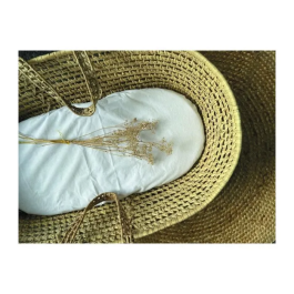 Candide Protector de Colchón 232003 Esponja 40x80 cm Blanco