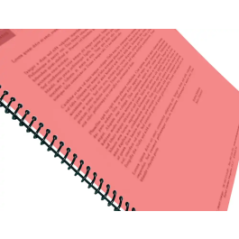 Liderpapel Tapas Polipropileno A4 0.5 mm Rojo Translucido Paquete 100 Unidades