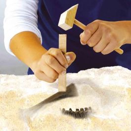 SES Creative Kit de Excavación 2 en 1: Dinosaurio Stegosaurus y Esqueleto - Juego Educativo para Niños +5 Años con Herramientas SES Creative Kit de Excavación 2 en 1: Dinosaurio Stegosaurus y Esqueleto - Juego Educativo para Niños +5 Años con Herramientas