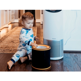 Leitz Filtro HEPA Z-3000/Z-3500 para Purificador de Aire Grande | Antipolvo, Antivirus y Olores - Recambio Compatible