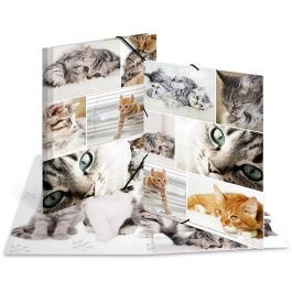 HERMA 19212 - Carpeta de cartón A4 para coleccionar con diseño de gatos, multicolor, 3 solapas, 1 pieza Precio: 14.49999991. SKU: B1BE9BT3HE