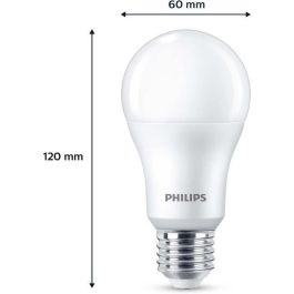 Philips PHI8719514451339 Bombilla LED A67 E27 Luz Blanca Fría No Regulable Equivalente 100W (Pack 3)