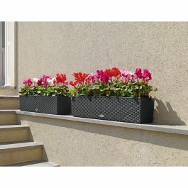 Lechuza LEC4008789156129 Jardinera Balconera Casita 80, Kit completo, Granito, 12L