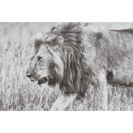 Cuadro Colonial DKD Home Decor Blanco Negro 3.5 x 32 x 92.5 cm (3 Unidades) Cuadro Colonial DKD Home Decor Blanco Negro 3.5 x 32 x 92.5 cm (3 Unidades)