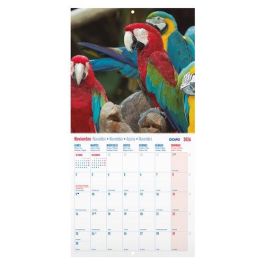 Calendario (2026) Dohe Pared Imagenes Mensual Para Escribir 300X300 Aves Exoticas Precio: 10.50000006. SKU: B1EP5A69YG