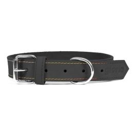 Collar para Perro Gloria Oasis Negro (50 x 2,1 cm) Precio: 8.49999953. SKU: S6100699