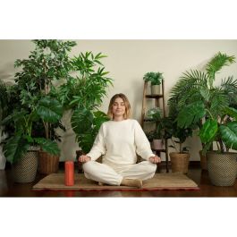 Loewe LOE1702551582944 Altavoz Bluetooth Portátil Resistente a Salpicaduras 40W