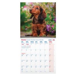 Calendario (2026) Dohe Pared Imagenes Mensual Para Escribir 300X300 Perros Calendario (2026) Dohe Pared Imagenes Mensual Para Escribir 300X300 Perros Precio: 10.50000006. SKU: B1K8LHJQGA
