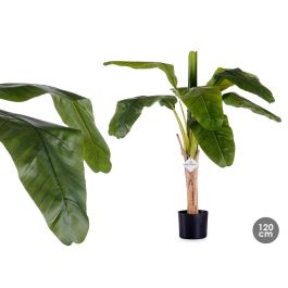 Ibergarden Planta Bananera Pequeña con Maceta 120 cm Precio: 34.78999986. SKU: S3611153