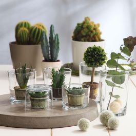 Lav Set 3 Vasos Chiquito 240Cc Colección Bodega (16 Cajas)