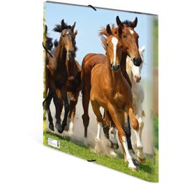 HERMA Carpeta de Colección A3 Caballos de Polipropileno