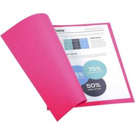 Exacompta Subcarpeta de cartulina 100% reciclada DIN A4 fucsia 170 gr con certificado Blue Angel Precio: 13.98999943. SKU: B1EQ8SHB75