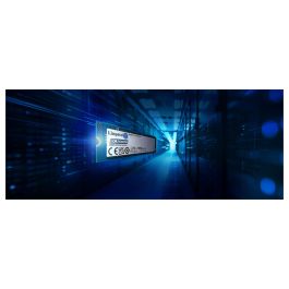 Kingston DC2000B SSD 240GB M.2 NVMe PCIe 4.0 x 4 para Servidor