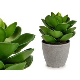 Ibergarden Maceta Planta Hoja Ancha Grande Plástico Verde/Gris 16x21x16 cm (Set de 12) Precio: 57.49999981. SKU: S3606535