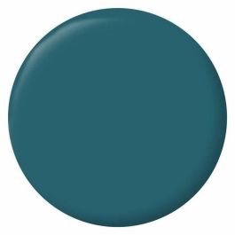 Ripolin RIP3174269079545 Pintura Terciopelo Color para Paredes, Carpintería y Radiadores - Azul Ainhoa Ripolin RIP3174269079545 Pintura Terciopelo Color para Paredes, Carpintería y Radiadores - Azul Ainhoa
