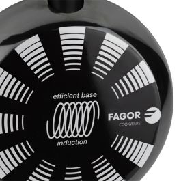 Fagor Sartén Indutherm Ø20 cm Acero AISI 430 Negro, Antiadherente Xylan Plus, Apto para Todo Tipo de Fuegos