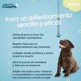 Arnés para Perro Coachi