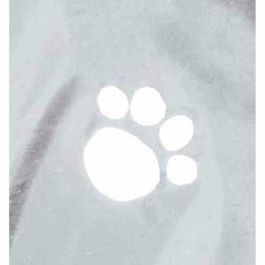 Chubasquero para Perro Trixie Tarbes Transparente M