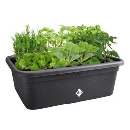 Elho ELH8711904529581 Jardinera Green Basics Jardín de Cultivo, Negro, Tamaño L, 76x57x27 cm, 100% reciclado para exterior Elho ELH8711904529581 Jardinera Green Basics Jardín de Cultivo, Negro, Tamaño L, 76x57x27 cm, 100% reciclado para exterior