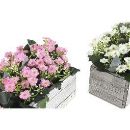 DKD Home Decor Planta Rosa Blanco 24 x 16 x 16.5 cm (4 Unidades)