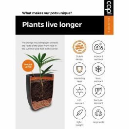Capi Europe KOFZ935 424244 Jardinera Nature Rib 54x52 cm Antracita