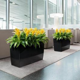 Lechuza LEC4008789188298 Macetero Cararo Premium, juego completo, rojo escarlata brillante