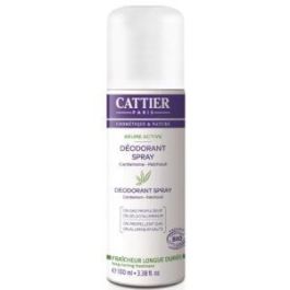 Desodorante Brume Active Mujer Spray 100Ml. Precio: 10.50000006. SKU: B1DK524W78
