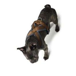 Hunter Arnés London Comfort Marrón para Perro, Talla S-M (Pecho 52-62 cm), Poliéster Suave, Resistente y Ajustable con Cierre de Seguridad