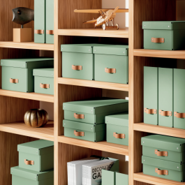 Leitz 61480050 Pack 2 Cajas de Almacenamiento de Cartón Verde Medianas Bajas A4, 8 L - 270x370x100mm