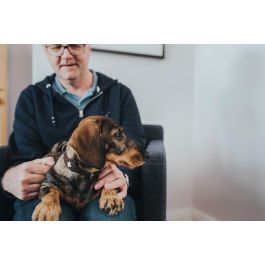 Hunter Collar Swiss 38-43.5 cm Marrón-Negro