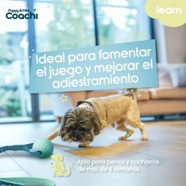 Arnés para Perro Coachi Precio: 14.49999991. SKU: B1BKCVKDNK