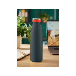 Botella Isotermica Leitz Cosy 500Ml Gris