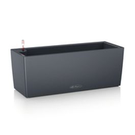 Maceta Lechuza Negro Gris Polipropileno