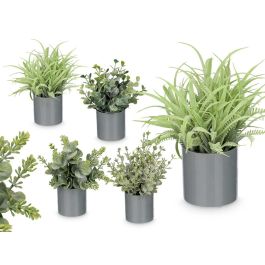 Maceta Cilindro Hojas Verde Surtidos Ibergarden 10X18CM (36 Unidades) Precio: 37.6899996. SKU: B1GPAWXGZE